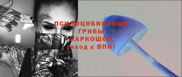 твердый Нягань