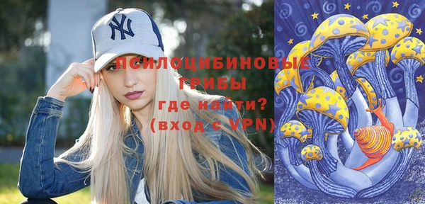 твердый Нягань