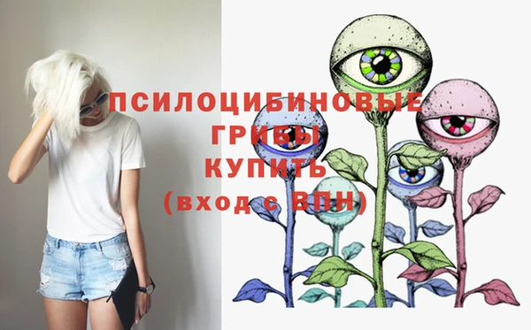 альфа пвп Няндома