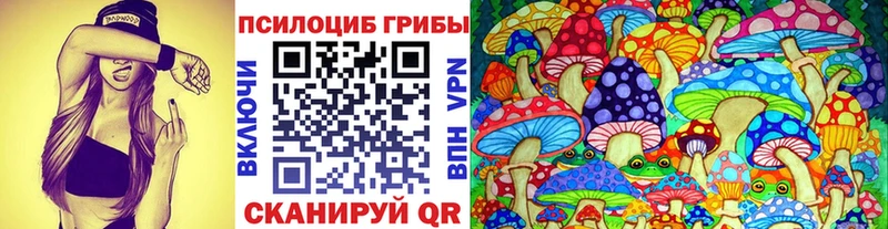 Галлюциногенные грибы Psilocybe Купить закладки Унеча