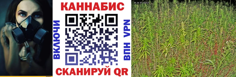 Канабис марихуана  Купить закладки  Унеча 